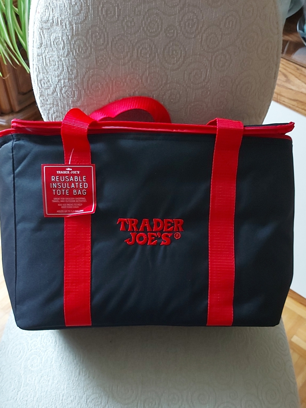 Trader Joe's Large Reusable Insulated Tote Bag